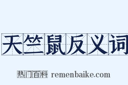 天竺鼠反义词是什么意思的图片